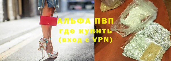 ПСИЛОЦИБИНОВЫЕ ГРИБЫ Балабаново